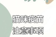小猫疫苗接种时间表（宝宝成长保护，科学打疫苗）