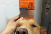 如何识别以古牧慢性肾衰症状？（以宠物为主，15个段落详细解析以古牧慢性肾衰症状）