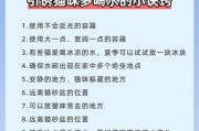 健康小猫的特征（发现小猫健康的秘密）