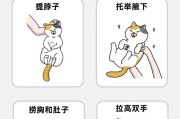 猫咪姿势揭示的秘密（探索猫咪各种姿势背后的含义）