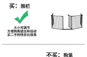 养狗攻略（有效方法与护理技巧，让泰迪摆脱瘙痒困扰）