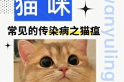 猫瘟的症状及预防措施（了解猫瘟的常见症状，保护你的爱猫健康）