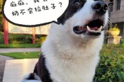 狗奶的饮用限制及原因（为什么不能喝狗奶？-揭开谜底）