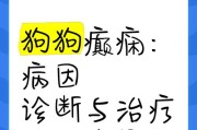 狗狗4岁癫痫症状全解析（了解你的宠物）