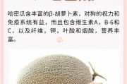 狗狗肾脏不好应该吃什么水果？（关注狗狗肾脏健康，选择适合的水果对狗狗的饮食进行调整）