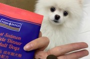 如何让你的博美犬爱上磨牙棒？（解决博美犬不咬磨牙棒的问题，提高口腔健康）