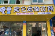 以宠物门诊需要的手续及注意事项（为您的爱宠提供最佳医疗护理的必要程序）