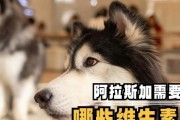 阿拉斯加美食探秘（揭秘阿拉斯加的特色美食文化）
