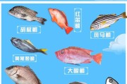 常见鱼类大揭秘（了解常见鱼类的种类及特点）