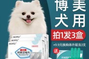 狗狗驱虫的正确时间（多大年龄的狗狗适合驱虫？-）