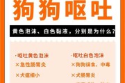 狗咳呕吐的原因及应对措施（揭开狗咳呕吐的谜团，保护宠物健康）