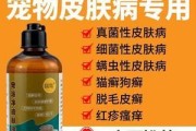 泰迪真菌感染的治疗方法（以宠物为主的真菌治疗指南）