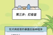 宠物疫苗（了解小狗接种疫苗的最佳时机及相关注意事项）