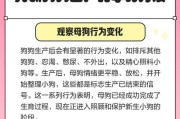 狗的妊娠期和分娩过程的时长（了解狗生宝宝的时间节点和注意事项）