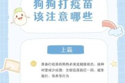 狗狗打完疫苗后的反应及注意事项（宠物狗狗接种疫苗后可能出现的反应及如何应对）