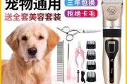 狗狗剃毛的注意事项（宠物美容师教你如何安全剃毛，让狗狗更舒适）