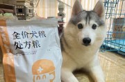 小哈士奇的营养需求及饮食安排（为你的小哈士奇提供健康的饮食）