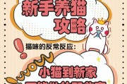 小猫到家一直叫，该怎么理它？（让猫咪适应新环境的秘诀）