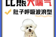 为什么狗狗会有呼气重的问题？（探索引起狗狗呼气重的原因及解决方法）