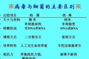 揭秘有关极地生物——沙鼠的饲养方法（轻松掌握极地宠物护理技巧，让你的小可爱健康成长）