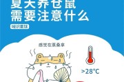 仓鼠中暑急救指南（如何处理仓鼠中暑症状及提供紧急药物救助）