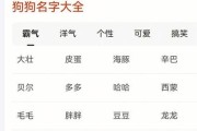 狗狗取名，这些方法你都知道吗？（15种创意取名方式让你的狗狗与众不同）
