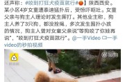 拥有一只狗，需要的心理准备（做好准备，才能给宠物更好的生活）