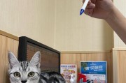 猫咪养护之——打疫苗注意事项（如何为宠物猫咪打疫苗，预防疾病）