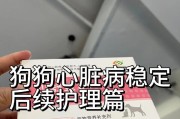 心脏病宠物狗狗的药物治疗方案（药物治疗心脏病的关键）