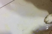 40只小狗发热拉稀事件，如何应对？（如何预防小狗发热拉稀，如何治疗？）