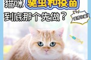 宠物猫咪能否在以刚驱虫后洗澡？（以刚驱虫的注意事项与正确洗澡方法）