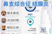 以泰迪发烧应该吃什么药？（了解泰迪的发烧症状及正确用药方法，让您的宠物迅速康复）