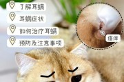 如何清理宠物猫咪耳朵里的耳螨？（宠物猫咪的耳螨清理指南）
