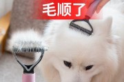 如何给宠物狗梳理毛发（细致呵护，让毛发更美丽）