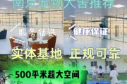 宠物繁殖的注意事项（为宠物繁殖提供良好条件的关键因素）