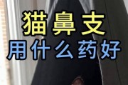 猫得鼻支有关的药物治疗方法及建议（帮助猫咪缓解鼻支问题的药物选择与使用技巧）