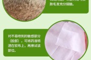 除掉狗狗身上的跳蚤（宠物保健的必备技能，狗狗不再被跳蚤困扰）