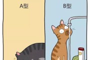 猫咪时差纠正的方法（帮助猫咪调整作息时间，让它们更健康）