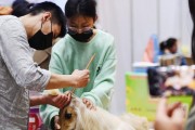 探索宠物美容比赛的魅力与乐趣（发掘宠物美容比赛中的才艺与竞技激情）