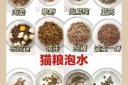 猫咪肉垫的涂抹功效（发现猫咪肉垫的隐藏用途，让它成为你的护肤秘密武器）