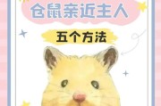 大仓鼠的饲养全攻略（做个专业的大仓鼠养殖达人，从这里开始！）