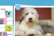 如何护理呕吐的可蒙犬（以宠物为主，从饮食、环境、药物等方面入手）