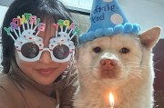 残酷现实！大狗生下小狗后将其吃掉（小狗吃掉同伴的原因及如何避免）