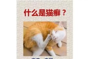 探究猫藓形成的原因（猫藓的成因及预防措施）