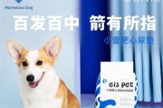 如何处理狗狗尿很黄的问题（了解狗狗身体状况，避免尿液变色）