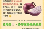 狗狗的饮食健康（一日一餐足矣，关键在于均衡营养）