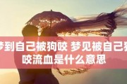 被狗狂追时，如何解救自己？（5个方法教你自救）