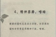 探究猫为什么容易患上慢性肾衰竭（猫咪肾衰竭的原因及预防措施）