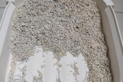 托运猫的屎尿问题解决方法（轻松应对旅途中的猫咪尿尿大作战）