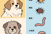 驱虫药怎么选？为什么必须驱虫？